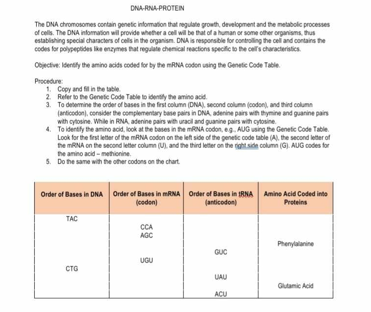 DNA-RNA-PROTEIN 
The DNA chromosomes contain genetic information that regulate growth, development and the metabolic processes 
of cells. The DNA information will provide whether a cell will be that of a human or some other organisms, thus 
establishing special characters of cells in the organism. DNA is responsible for controlling the cell and contains the 
codes for polypeptides like enzymes that regulate chemical reactions specific to the cell's characteristics. 
Objective: Identify the amino acids coded for by the mRNA codon using the Genetic Code Table. 
Procedure: 
1. Copy and fill in the table. 
2. Refer to the Genetic Code Table to identify the amino acid. 
3. To determine the order of bases in the first column (DNA), second column (codon), and third column 
(anticodon), consider the complementary base pairs in DNA, adenine pairs with thymine and guanine pairs 
with cytosine. While in RNA, adenine pairs with uracil and guanine pairs with cytosine. 
4. To identify the amino acid, look at the bases in the mRNA codon, e.g., AUG using the Genetic Code Table. 
Look for the first letter of the mRNA codon on the left side of the genetic code table (A), the second letter of 
the mRNA on the second letter column (U), and the third letter on the right side column (G). AUG codes for 
the amino acid -- methionine. 
5. Do the same with the other codons on the chart.