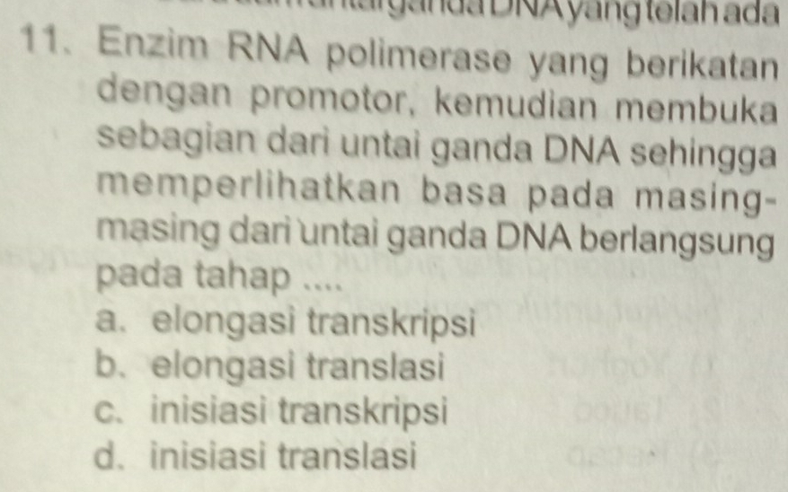 arg an da DNA yang telah ad
11. Enzim RNA polimerase yang berikatan
dengan promotor, kemudian membuka
sebagian dari untai ganda DNA sehingga
memperlihatkan basa pada masing-
masing dari untai ganda DNA berlangsung
pada tahap ....
a. elongasi transkripsi
b. elongasi translasi
c. inisiasi transkripsi
d. inisiasi translasi