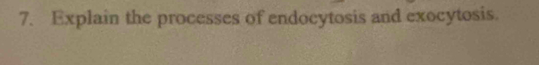 Explain the processes of endocytosis and exocytosis.