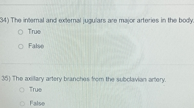 The internal and external jugulars are major arteries in the body.
True
False
35) The axillary artery branches from the subclavian artery.
True
False