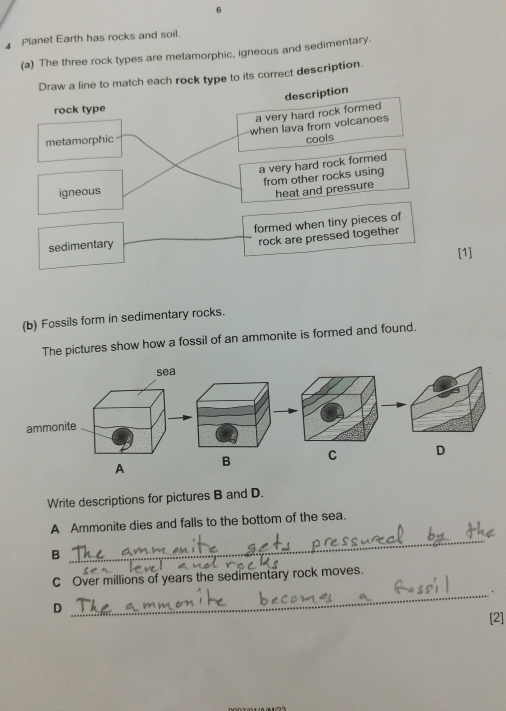 Planet Earth has rocks and soil.
(a) The three rock types are metamorphic, igneous and sedimentary.
Draw a line to match each rock type to its correct description.
description
rock type
a very hard rock formed
metamorphic when lava from volcanoes
cools
a very hard rock formed
igneous from other rocks using
heat and pressure
formed when tiny pieces of
sedimentary
rock are pressed together
[1]
(b) Fossils form in sedimentary rocks.
The pictures show how a fossil of an ammonite is formed and found.
B C D
Write descriptions for pictures B and D.
A Ammonite dies and falls to the bottom of the sea.
B
_
C Over millions of years the sedimentary rock moves.
_.
D
[2]