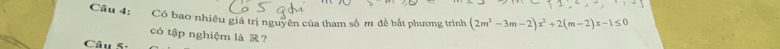 Có bao nhiêu giá trị nguyên của tham số m để bắt phương trình (2m^2-3m-2)x^2+2(m-2)x-1≤ 0
có tập nghiệm là ？ 
Câu 5: