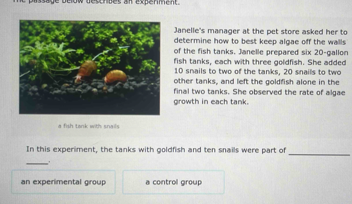 me passage below describes an experment. 
Janelle's manager at the pet store asked her to 
determine how to best keep algae off the walls 
of the fish tanks. Janelle prepared six 20-gallon
fish tanks, each with three goldfish. She added
10 snails to two of the tanks, 20 snails to two 
other tanks, and left the goldfish alone in the 
final two tanks. She observed the rate of algae 
growth in each tank. 
a fish tank with snails 
_ 
In this experiment, the tanks with goldfish and ten snails were part of 
_ 
an experimental group a control group