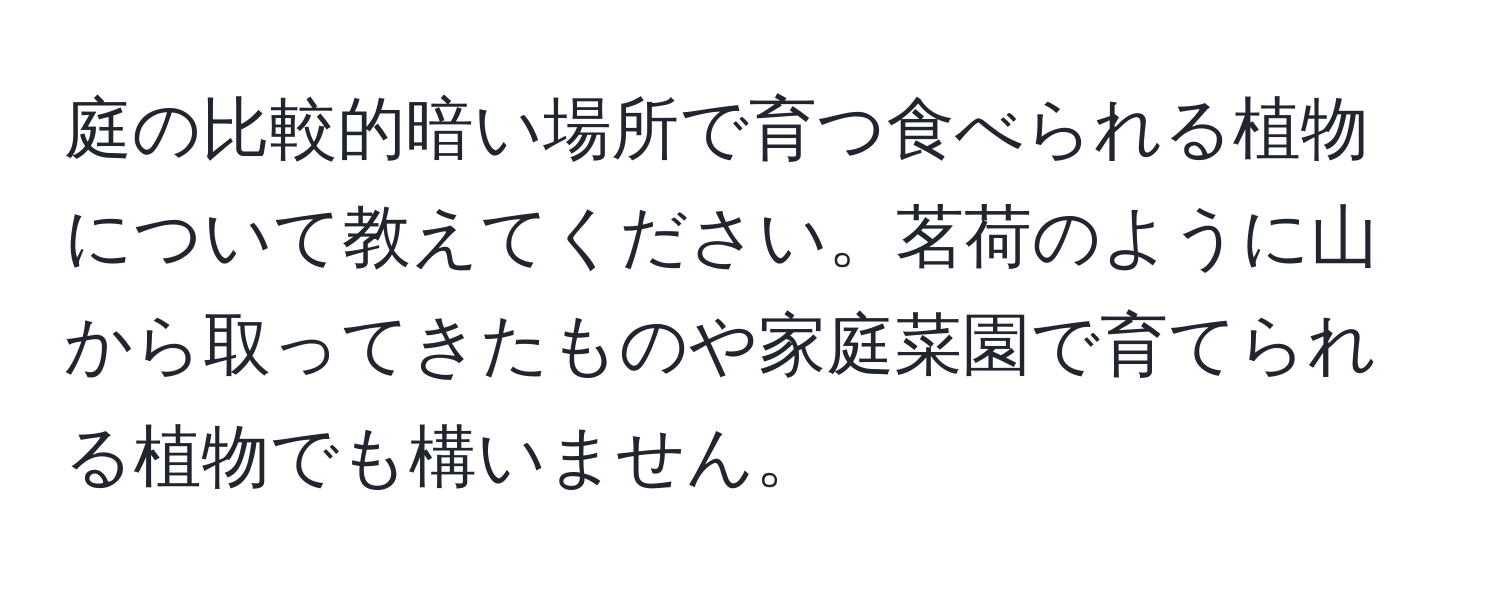 庭の比較的暗い場所で育つ食べられる植物について教えてください。茗荷のように山から取ってきたものや家庭菜園で育てられる植物でも構いません。