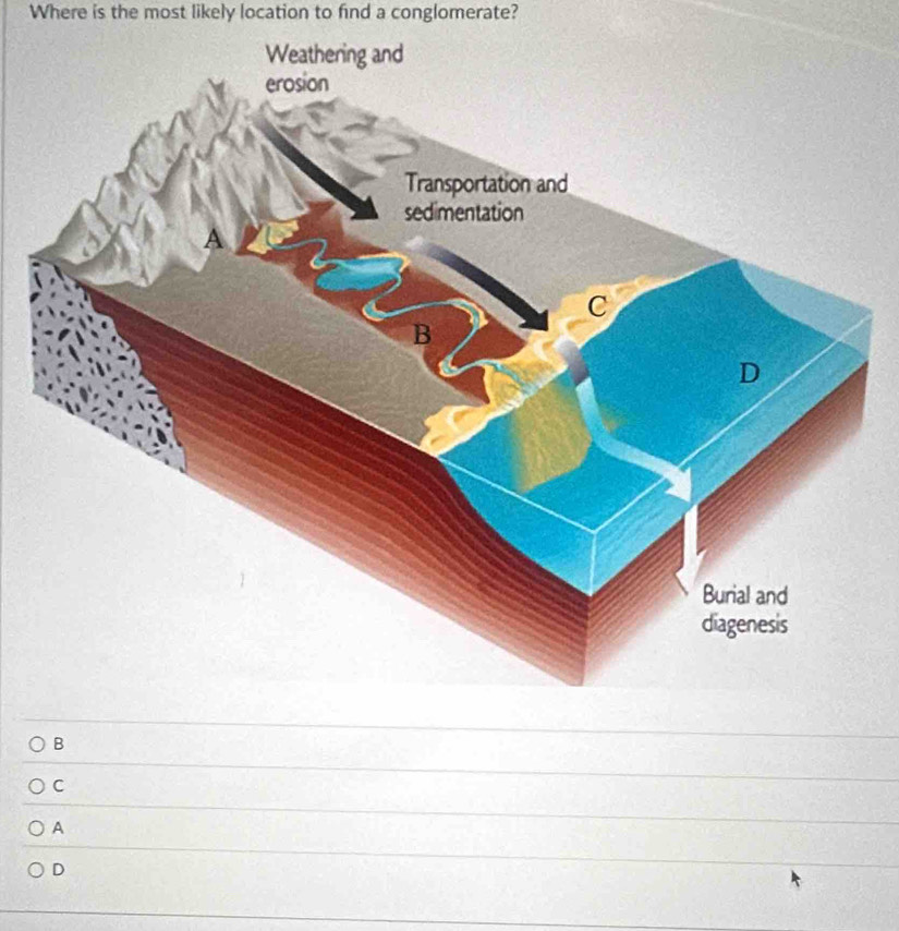 Where is the most likely location to find a conglomerate? 
B 
__ 
C 
_ 
A 
_ 
D 
_