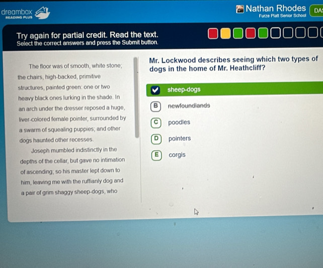 dreambox Nathan Rhodes DA
READING PLUS Furze Platt Senior School
Try again for partial credit. Read the text.
Select the correct answers and press the Submit button.
The floor was of smooth, white stone; Mr. Lockwood describes seeing which two types of
dogs in the home of Mr. Heathcliff?
the chairs, high-backed, primitive
structures, painted green: one or two sheep-dogs
heavy black ones lurking in the shade. In
an arch under the dresser reposed a huge, B newfoundlands
liver-colored female pointer, surrounded by c poodles
a swarm of squealing puppies; and other
dogs haunted other recesses. D pointers
Joseph mumbled indistinctly in the
depths of the cellar, but gave no intimation E corgis
of ascending; so his master lept down to
him, leaving me with the ruffianly dog and
a pair of grim shaggy sheep-dogs, who