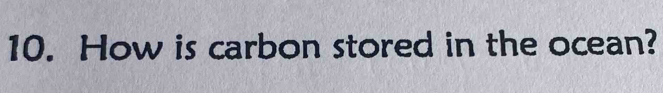 How is carbon stored in the ocean?