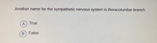 Another name for the sympathetic nervous system is thoracolumbar branch.
A True
B False