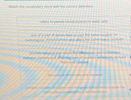 Match the vocabulary word with the correct definition.
refers to paired chromosomes in body cells
one of a pair of genes that occupy the same location on
homologous chromosomes and affect the same trait in animals
process which brings about the differences and similarities
between parents and offspring; sum of qualities genetically derived
from one's parent
the science of heredity and variation
complex solution of organic and inorganic components outside the
cell nucleus contained by a cell membrane