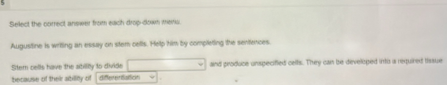 Select the correct answer from each drop-dowm mend. 
Augustine is writing an essay on sitem cells. Help him by completing the sentences. 
Stem cells have the sbillity to divide and produce unspeciffed celfs. They can be developed into a required lissue 
because of their abillity of diferen tstion