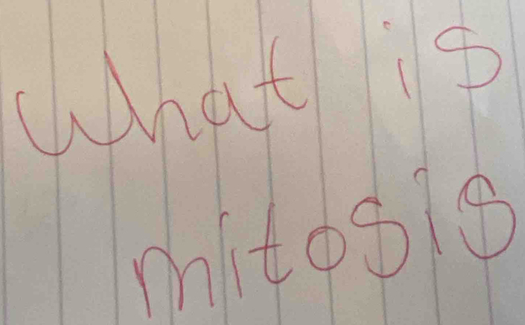 What is 
mitoso