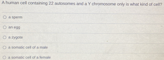 A human cell containing 22 autosomes and a Y chromosome only is what kind of cell?
a sperm
an egg
a zygote
a somatic cell of a male
a somatic cell of a female