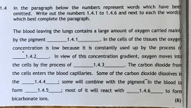 1.4 in the paragraph below the numbers represent words which have beer 
omitted. Write out the numbers 1.4.1 to 1.4.6 and next to each the word(s 
which best complete the paragraph. 
The blood leaving the lungs contains a large amount of oxygen carried maini 
by the pigment _ 1.41 _ . in the cells of the tissues the axygen 
concentration is low because it is constantly used up by the process o 
_1.4.2_ . In view of this concentration gradient, oxygen moves into 
the cells by the process of _ 1.4.3 _ . The carbon dioxide from 
the cells enters the blood capillaries. Some of the carbon dioxide dissoles 
the _ 1.4.4 _ ; some will combine with the pigment in the blood to 
form _ 1.4.5 _ ; most of it will react with _ 1.4.6 _ to form 
bicarbonate ions. (6)