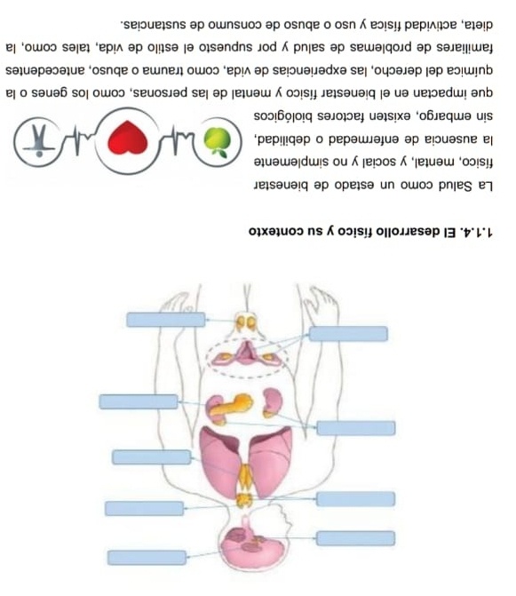 El desarrollo físico y su contexto 
La Salud como un estado de bienestar 
físico, mental, y social y no simplemente 
la ausencia de enfermedad o debilidad, 
sin embargo, existen factores biológicos 
que impactan en el bienestar físico y mental de las personas, como los genes o la 
química del derecho, las experiencias de vida, como trauma o abuso, antecedentes 
familiares de problemas de salud y por supuesto el estilo de vida, tales como, la 
dieta, actividad física y uso o abuso de consumo de sustancias.