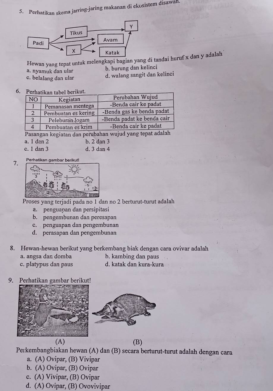 Perhatikan skema jarring-jaring makanan di ekosistem disawan
Hewan yang tepat untuk melengkapi bagian yang di tandai huruf x dan y adalah
a. nyamuk dan ular b. burung dan kelinci
c. belalang dan ular d. walang sangit dan kelinci
Pasangan kegiatan dan perubahan wujud yang tepat adalah
a. 1 dan 2 b. 2 dan 3
c. 1 dan 3 d. 3 dan 4
7.Perhatikan gambar berikut!
Proses yang terjadi pada no 1 dan no 2 berturut-turut adalah
a. penguapan dan persipitasi
b. pengembunan dan peresapan
c. penguapan dan pengembunan
d. perasapan dan pengembunan
8. Hewan-hewan berikut yang berkembang biak dengan cara ovivar adalah
a. angsa dan domba b. kambing dan paus
c. platypus dan paus d. katak dan kura-kura
9. Perhatikan gambar berikut!
(A) (B)
Perkembangbiakan hewan (A) dan (B) secara berturut-turut adalah dengan cara
a. (A) Ovipar, (B) Vivipar
b. (A) Ovipar, (B) Ovipar
c. (A) Vivipar, (B) Ovipar
d. (A) Ovipar, (B) Ovovivipar