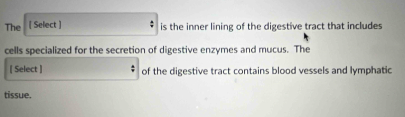 The [ Select ] is the inner lining of the digestive tract that includes 
cells specialized for the secretion of digestive enzymes and mucus. The 
[ Select ] of the digestive tract contains blood vessels and lymphatic 
tissue.