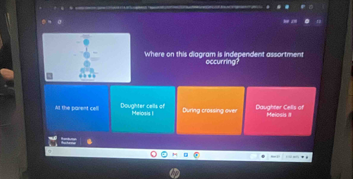 a
Where on this diagram is independent assortment
occurring?
At the parent cell Daughter cells of During crossing over Daughter Cells of
Meiosis I Meiosis II
an butan
Rochester
Nov 23 5:13 (VTL