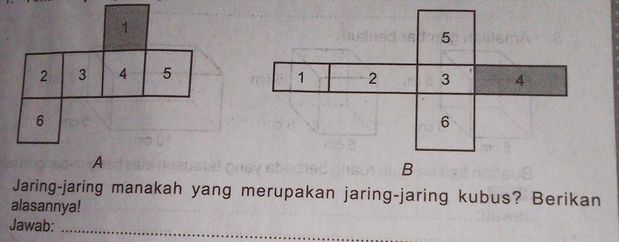 1
2 3
5
6
A 
Jaring-jaring manakah yang merupakan jaring-jaring kubus? Berikan 
alasannya! 
Jawab:_