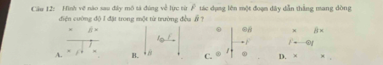 Cầu 12: Hình vẽ nào sau đây mô tả đúng ve lực từ vector F tác dụng lên một đoạn dây dẫn thắng mang dòng
điện cường độ I đặt trong một từ trường đều vector B ?
χ B
。 overline B × R> a
n
0/
A. ×
B. B
C. odot 。 D. × ×