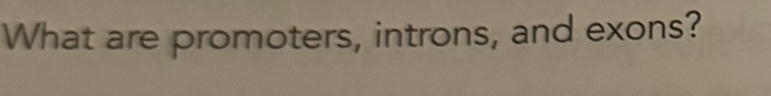 What are promoters, introns, and exons?