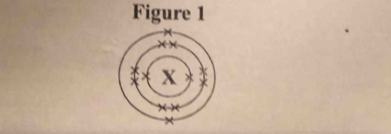 Figure 1
X
×