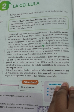 LA CELLULA
Turri gli esseri viventi sono costituiti da unità fondamentali chis
   
mate cellule
riote La cellula é la più piccola unità della vita e contiene le sostanze
fondamentali e le strutture per le sue funzioni vitalí. La cellula
nutre, si riproduce, muore. infam svolge tutte le funzioni vitali dei viventi: nasce, cresce, si
Esistono viventi costituiti da un'unica cellula, gli organismi unicel.
lulari, e viventi formati da più cellule, gli organismi pluricellulari
Le dimensioni cellulari sí aggirano tra 0,1 e 100 micron (μm) di dia
metro o lunghezza. Considerato che I μm corrisponde a un milione.
simo di metro, l'occhio umano non è in grado di vedere da solo una
cellula e deve utilizzare il microscopio O , uno strumento formato
da un insieme di lenti che permette di ingrandire l'oggetto che stia .
mo osservando. Alcune cellule, invece, si possono vedere a occhio
nudo come le uova non fecondate di galline, pesci, rane.
Le cellule si dividono in due grandi categorie: quelle che possiedono
un nucleo, una struttura che contiene al suo interno il materiale
genetico di un indivíduo, ossía il suo DNA, e quelle che sono prive
di tale struttura. La prima è la cellula eucariotica, la seconda è la
cellula procariotica.
[] DNA è una molecola che contiene le informazioni essenziali per
la vita. Insieme alle altre strutture, dette organelli, serve alla cellu-
la per lo svolgimento di tutte le sue funzioni biologiche.
Attenzione!
MATERIALE
Materiale vetroso. cipoll
vetr
ento potente per scorgere le cellule. diì Lent
ola che sta nella parte interna di ogni strato.
pporto trasparente e inizía a osservare