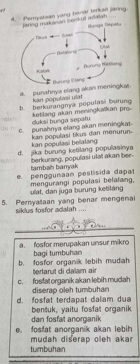 r!
4. Pemyataan yang benar terkait jaring
akanan berikut adalah ....
a. punahnya elang akan men
kan populasi ulat
b. berkurangnya populasi burung
ketilang akan meningkatkan pro-
duksi bunga sepatu
c. punahnya elang akan meningkat-
kan populasi tikus dan menurun-
kan populasi belalang
d. jika burung ketilang populasinya
berkurang, pcpulasi ulat akan ber-
tambah banyak
e. penggunaan pestisida dapat
mengurangi populasi belalang,
ulat, dan juga burung ketilang
5. Pernyataan yang benar mengenai
siklus fosfor adalah ....
a. fosfor merupakan unsur mikro
bagi tumbuhan
b. fosfor organik lebih mudah
terlarut di dalam air
c. fosfat organik akan lebih mudah
diserap oleh tumbuhan
d. fosfat terdapat dalam dua
bentuk, yaitu fosfat organik
dan fosfat anorganik
e. fosfat anorganik akan lebih
mudah diserap oleh akar
tumbuhan