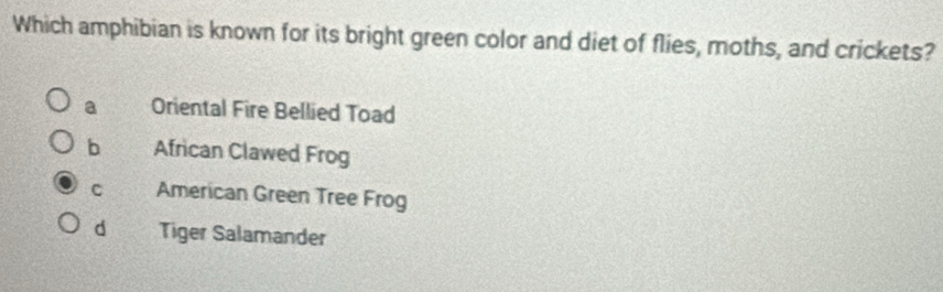 Which amphibian is known for its bright green color and diet of flies, moths, and crickets?
a Oriental Fire Bellied Toad
b African Clawed Frog
C American Green Tree Frog
d Tiger Salamander