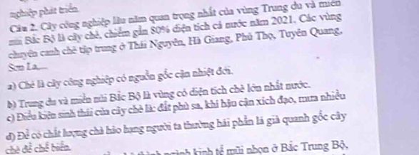 nphiệp phát triển 
Câu 2. Cây công nghiệp lâu năm quan trọng nhất của vùng Trung du và miên 
mm Bắc Bộ là cây chẻ, chiểm gần 80% diện tích cả nước năm 2021, Các vùng 
chuyên canh chê tập trung ở Thái Nguyên, Hà Giang, Phú Thọ, Tuyên Quang, 
Sơn La.... 
) Ché là cây công nghiệp có nguồn gốc cận nhiệt đới. 
b) Trung du và miền núi Bắc Bộ là vùng có diện tích chê lớn nhất nước. 
c) Điều kiệu sinh thái của cây chè là: đất phù sa, khi hậu cận xích đạo, mưa nhiều 
đ) Để có chất lượng chà hảo hạng người ta thường hải phần lá già quanh gốc cây 
chế để chế biển. 
T in knh tể mũi nhọn ở Bắc Trung Bộ,