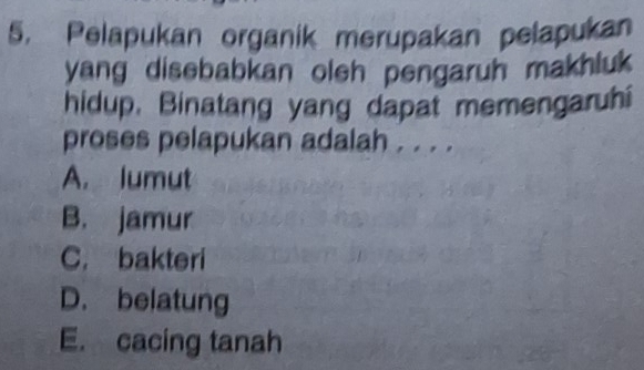 Pelapukan organik merupakan pelapukan
yang disebabkan oleh pengaruh makhluk 
hidup. Binatang yang dapat memengaruhi
proses pelapukan adalah . . . .
A. lumut
B. jamur
C. bakteri
D. belatung
E. cacing tanah