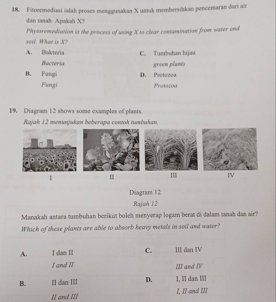 Fitoremediasi ialah proses menggunakan X untuk membersihkan pencemaran dari air
dan tanah. Apakah X?
Phytoremediation is the process of using X to clear contamination from water and
soil. What is X?
A. Bakteria C. Tumbuhan hijau
Bacteria
green plants
B. Fungi D. Protozoa
Fungi Protozoa
19. Diagram 12 shows some examples of plants.
Rajah 12 menunjukan beberapa contoh tumbuhan.
I
II
III IV
Diagram 12
Rajah 12
Manakah antara tumbuhan berikut boleh menyerap logam berat di dalam tanah dan air?
Which of these plants are able to absorb heavy metals in soil and water?
C.
A. I dan II III dan IV
I and II III and IV
B. II dan III D. I, II dan III
I, II and III
II and III