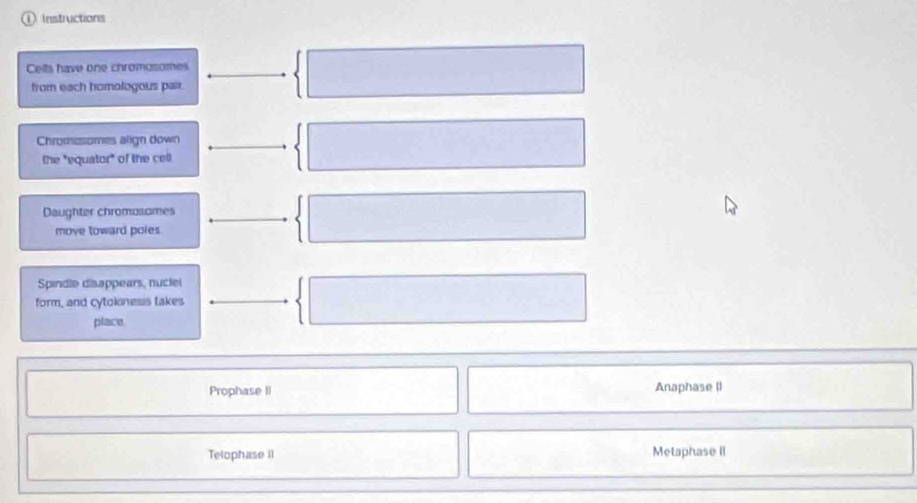 ① Instructions
Cells have one chromosomes
from each homologous pair
Chromzsomes align down
the "equator" of the cell
Daughter chromusomes
move toward poles
Spindle disappears, nuclei
form, and cytoknesis takes
place
Prophase II Anaphase (I
Telophase iI Metaphase II