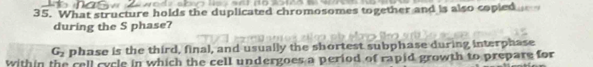 What structure holds the duplicated chromosomes together and is also copied 
during the S phase?
G_2 phase is the third, final, and usually the shortest subphase during interphase 
within the cell cycle in which the cell undergoes a period of rapid growth to prepare for