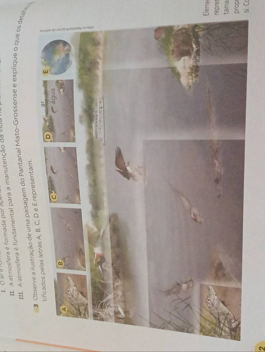 ar e
II. A atmosfera é formada por ape
III. A atmosfera é fundamental para a manutenção da viua
3 Observe a ilustração de uma paisagem do Pantanal Mato-Grossense e explique o que os detalhe
entam.
Elemer
repres
tama
prop
si. C
2