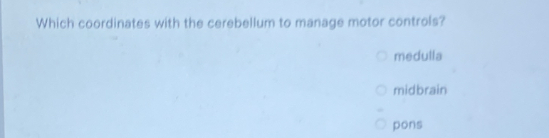 Which coordinates with the cerebellum to manage motor controls?
medulla
midbrain
pons