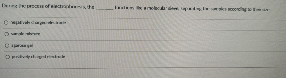 During the process of electrophoresis, the _functions like a molecular sieve, separating the samples according to their size.
negatively charged electrode
sample mixture
agarose gel
positively charged electrode