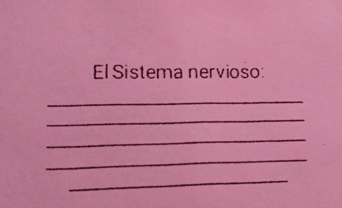 El Sistema nervioso: 
_ 
_ 
_ 
_ 
_