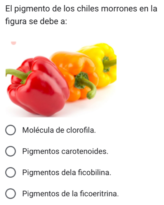 El pigmento de los chiles morrones en la
figura se debe a:
Molécula de clorofila.
Pigmentos carotenoides.
Pigmentos dela ficobilina.
Pigmentos de la ficoeritrina.