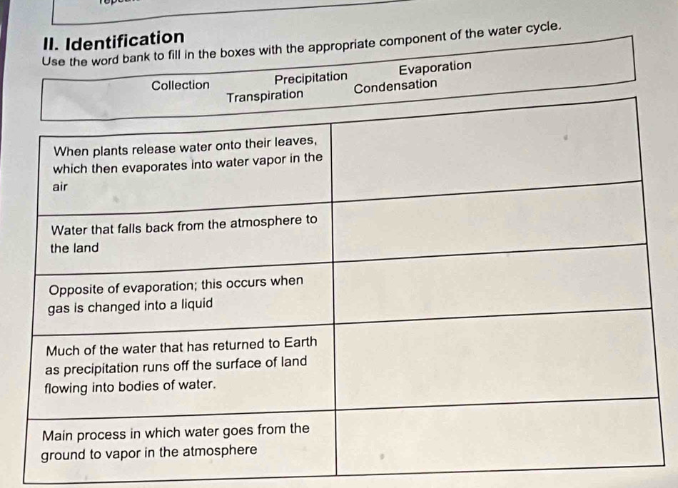 the water cycle.