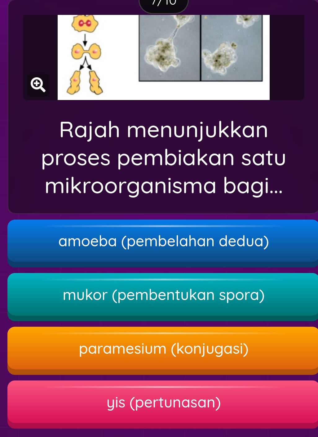 Rajah menunjukkan
proses pembiakan satu
mikroorganisma bagi...
amoeba (pembelahan dedua)
mukor (pembentukan spora)
paramesium (konjugasi)
yis (pertunasan)