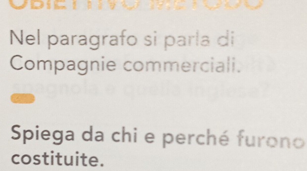 Nel paragrafo si parla di 
Compagnie commerciali. 
Spiega da chi e perché furono 
costituite.