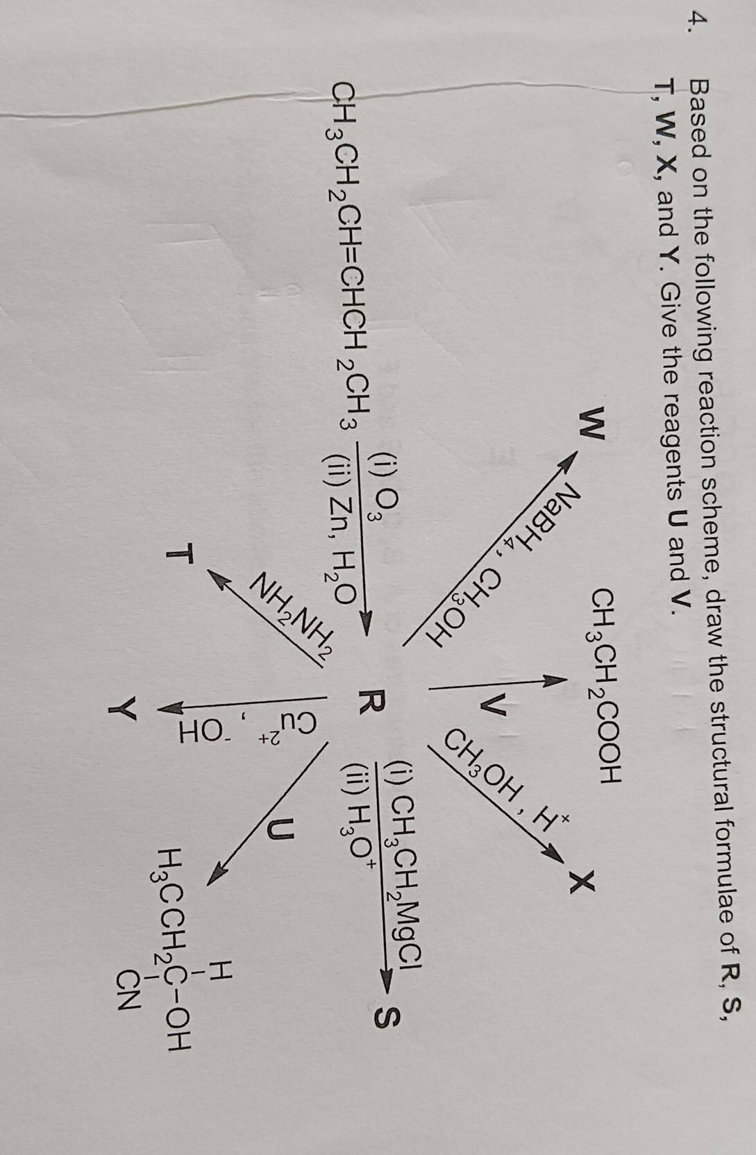 Based on the following reaction scheme, draw the structural formulae of R, S,
T, W, X, and Y. Give the reagents U and V.
W
CH_3CH_2COOH CH_3OH, H^+to +.
NaBH_4, CH_3OH V
CH_3CH_2MgCl S
CH_3CH_2CH=CHCH_2CH_3frac (i)O_3(ii)Zn,H_2O R frac (i)CH_3Cl(ii)H_3O^+
NH_3AH_2 2
U
T
。
H
H_3CCH_2C-OH
Y
CN