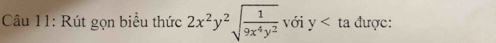 Rút gọn biểu thức 2x^2y^2sqrt(frac 1)9x^4y^2 với y được: