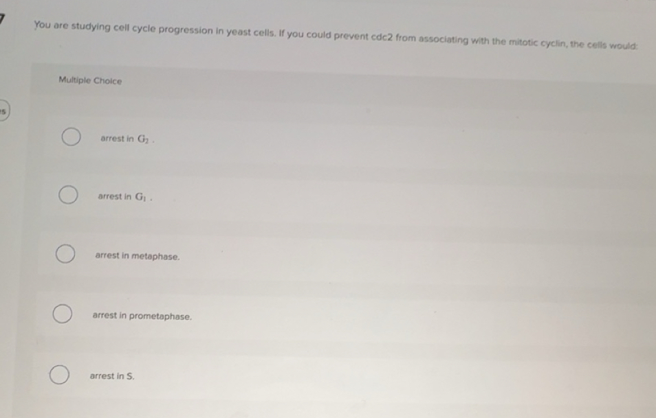 Solved: You are studying cell cycle progression in yeast cells. If you ...