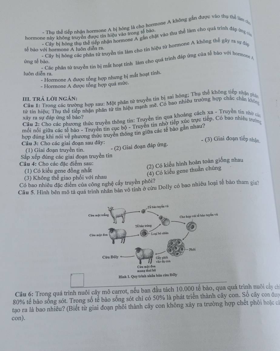 - Thụ thể tiếp nhận hormone A bị hỏng là cho hormone A không gắn được vào thụ thể làm co
hormone này không truyền được tín hiệu vào trong tế bào.
- Cây bị hỏng thụ thể tiếp nhận hormone A gắn chặt vào thu thể làm cho quá trình đáp ứng của
tế bào với hormone A luôn diễn ra.
- Cây bị hỏng các phân tử truyền tin làm cho tín hiệu từ hormone A không thể gây ra sự đáp
ứng tế bào.
- Các phân tử truyền tin bị mất hoạt tính làm cho quá trình đáp ứng của tế bào với hormone A
luôn diễn ra.
- Hormone A được tổng hợp nhưng bị mất hoạt tính.
- Hormone A được tổng hợp quá mức.
III. TRả LỜI NGÁN:
Câu 1: Trong các trường hợp sau: Một phân tử truyền tin bị sai hỏng; Thụ thể không tiếp nhận phân
tử tín hiệu: Thụ thể tiếp nhận phân tử tín hiệu mạnh mẽ. Có bao nhiêu trường hợp chắc chắn không
xảy ra sự đáp ứng tế bào?
Cầu 2: Cho các phương thức truyền thông tin: Truyền tin qua khoảng cách xa - Truyền tín nhờ các
mối nối giữa các tế bào - Truyền tin cục bộ - Truyền tin nhờ tiếp xúc trực tiếp. Có bao nhiêu trường
hợp đúng khi nói về phương thức truyền thông tin giữa các tế bào gần nhau?
Câu 3: Cho các giai đoạn sau đây:
- (3) Giai đoạn tiếp nhận.
(1) Giai đoạn truyền tin. - (2) Giai đoạn đáp ứng.
Sắp xếp đúng các giai đoạn truyền tin
Câu 4: Cho các đặc điểm sau:
(2) Có kiểu hình hoàn toàn giống nhau
(1) Có kiểu gene đồng nhất
(4) Có kiểu gene thuần chủng
(3) Không thể giao phối với nhau
Có bao nhiêu đặc điểm của công nghệ cấy truyền phôi?
Câu 5. Hình bên mô tả quá trình nhân bản vô tính ở cừu Dolly có bao nhiêu loại tế bào tham gia?
Câu 6: Trong quá trình nuôi cây mô carrot, nếu ban đầu tách 10.000 tế bào, qua quá trình nuôi cấy chỉ
80% tế bào sống sót. Trong số tế bào sống sót chỉ có 50% là phát triển thành cây con. Số cây con đượ
tạo ra là bao nhiêu? (Biết từ giai đoạn phối thành cây con không xảy ra trường hợp chết phối hoặc cả
con).