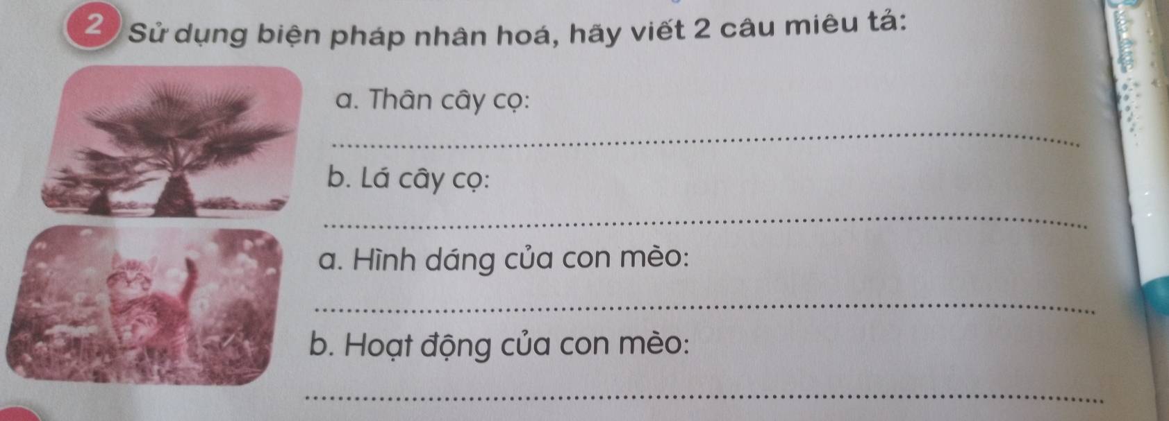 Sử dụng biện pháp nhân hoá, hãy viết 2 câu miêu tả: 
a. Thân cây cọ: 
_ 
. Lá cây cọ: 
_ 
. Hình dáng của con mèo: 
_ 
Hoạt động của con mèo: 
_