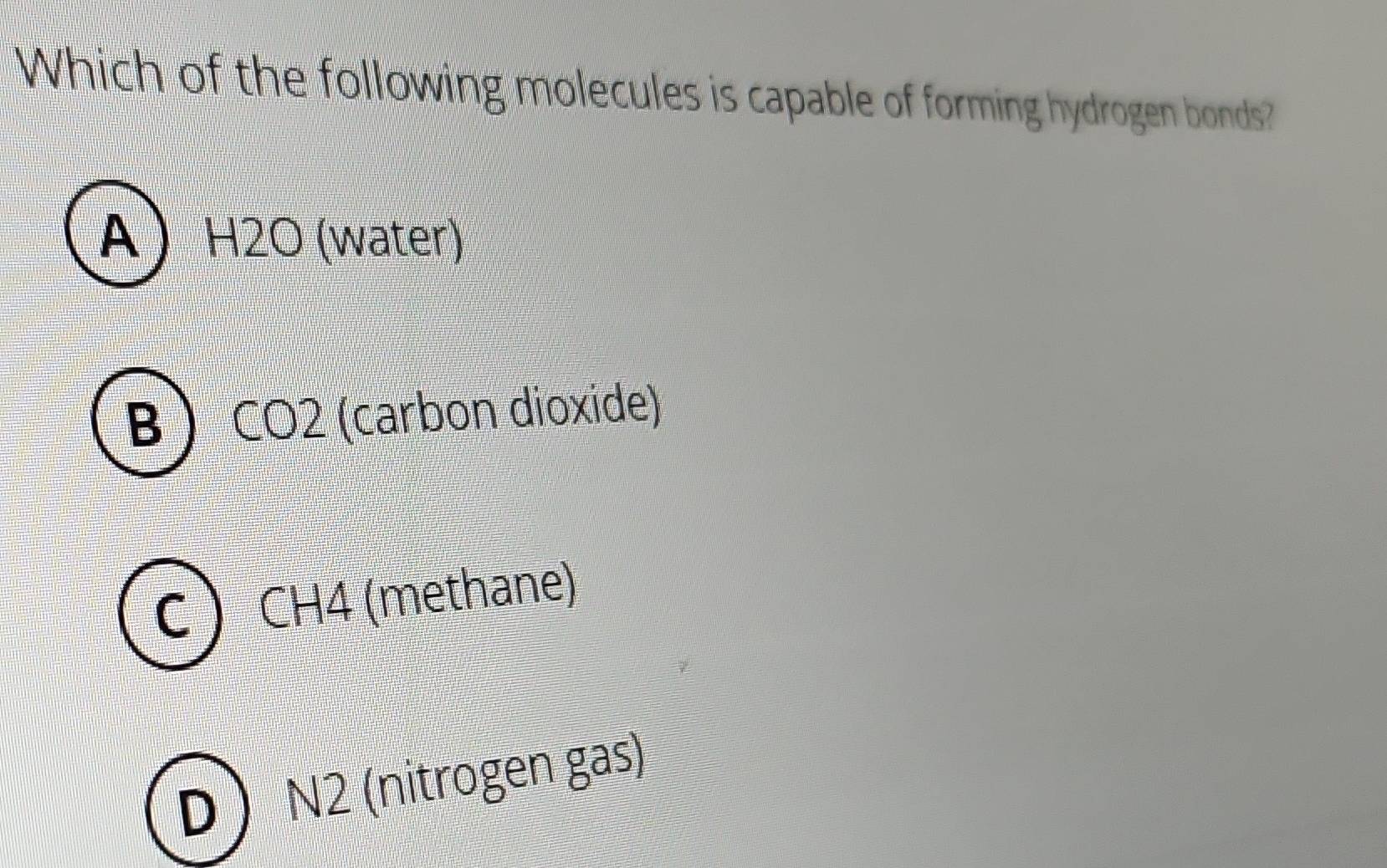 Which of the following molecules is capable of forming hydrogen bonds?
A H2O (water)
B  CO2 (carbon dioxide)
C  CH4 (methane)
D  N2 (nitrogen gas)