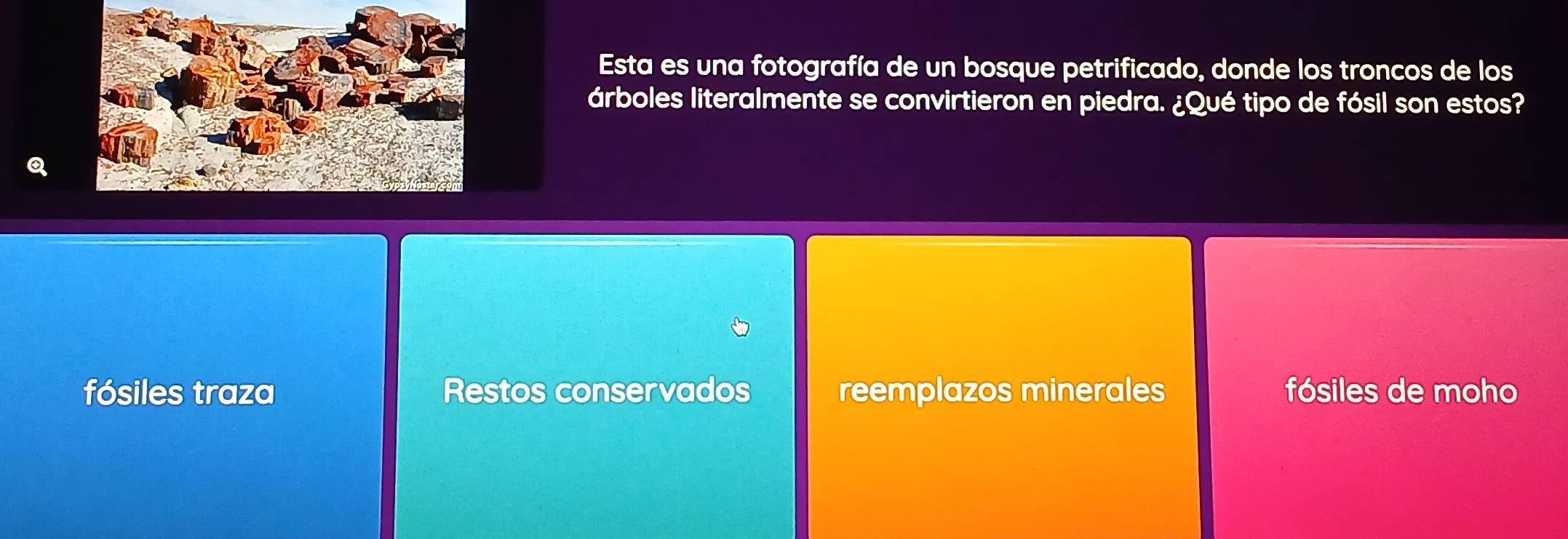 Esta es una fotografía de un bosque petrificado, donde los troncos de los
árboles literalmente se convirtieron en piedra. ¿Qué tipo de fósil son estos?
fósiles traza Restos conservados reemplazos minerales fósiles de moho