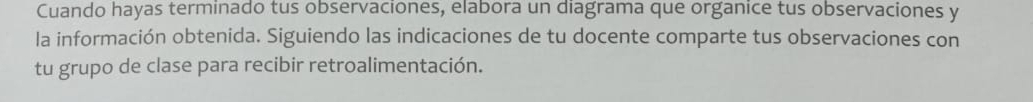 Cuando hayas terminado tus observaciones, elabora un diagrama que organice tus observaciones y 
la información obtenida. Siguiendo las indicaciones de tu docente comparte tus observaciones con 
tu grupo de clase para recibir retroalimentación.