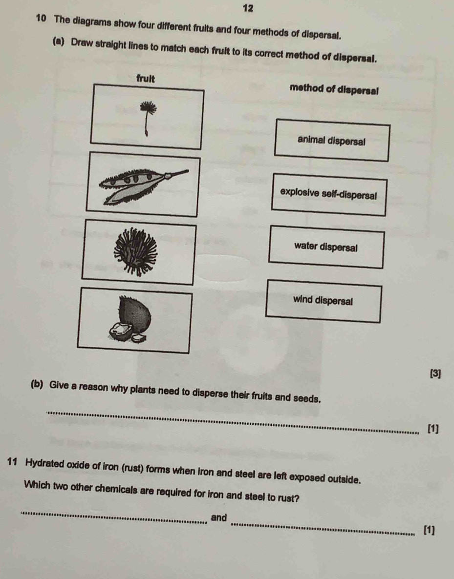 12
10 The diagrams show four different fruits and four methods of dispersal.
(a) Draw straight lines to match each fruit to its correct method of dispersal.
fruit method of dispersal
animal dispersal
explosive self-dispersal
water dispersal
wind dispersal
[3]
(b) Give a reason why plants need to disperse their fruits and seeds.
_
[1]
11 Hydrated oxide of iron (rust) forms when iron and steel are left exposed outside.
Which two other chemicals are required for iron and steel to rust?
_
_
and
[1]